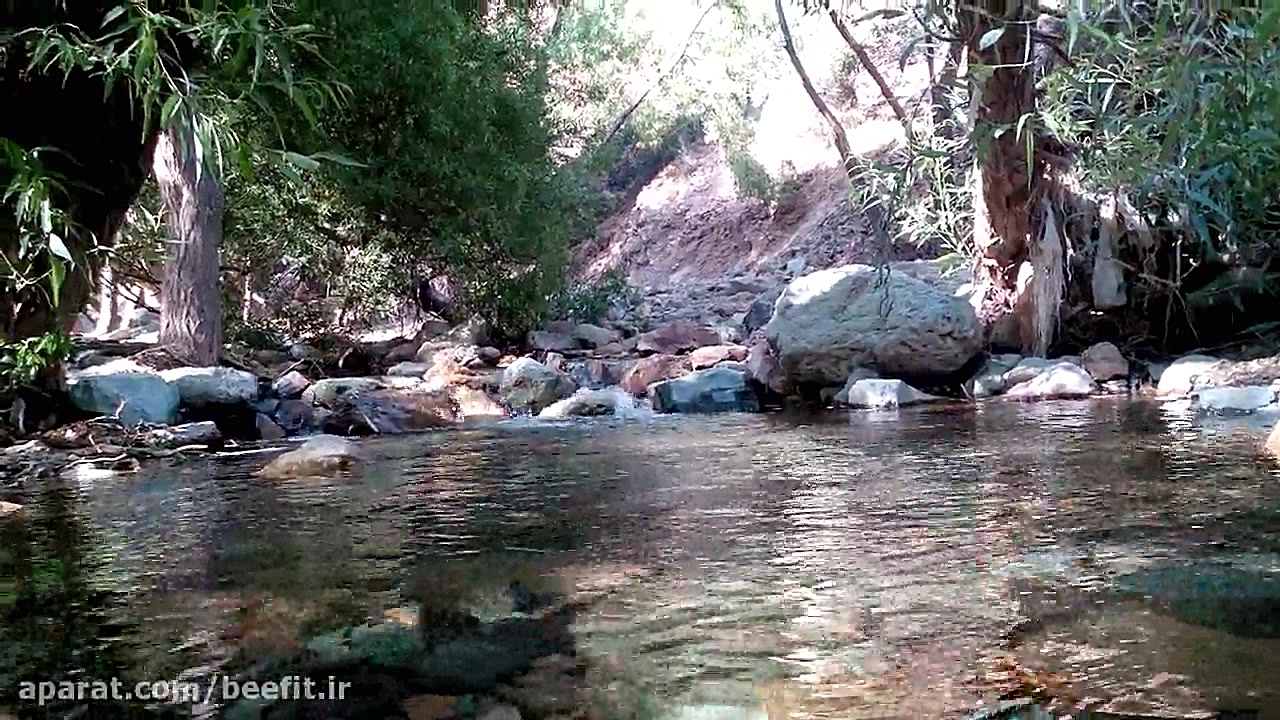 آقای طبیعت گرد ایران و پخت غذا در طبیعت زمان9ثانیه