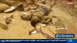 تار و مار شدن مزدوران سعودی در...