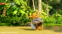 پنگوئن ببری  شکار ببر