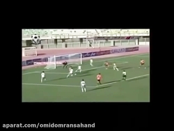 گل زیبای مهدی تیکدری