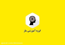 ایزدمهر احمدی نژاد رتبه 1 کنکو...
