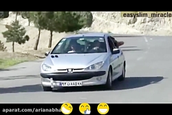 محمد ربیعی فر یا محمد امین کری...