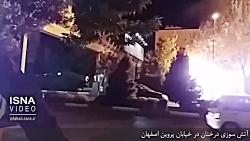 آتش سوزی درختان در خیابان پروی...