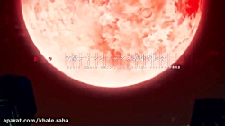 کارتون سگهای ولگرد بانگو  قسمت...