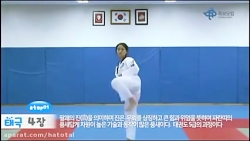 فرم چهار تکواندو