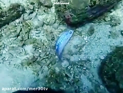 به فکر محیط زیست باشیم