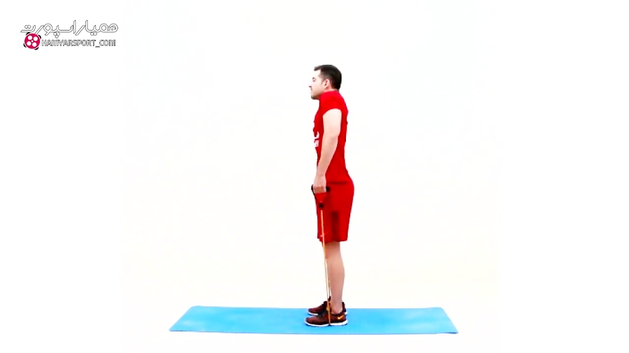 تمرین با کش بدنسازی کل بدن(فول بادی)