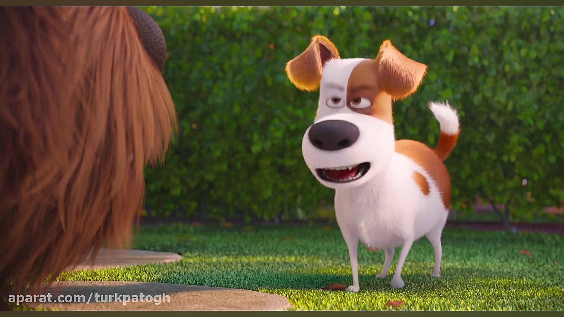 انیمیشن زندگی پنهان حیوانات The Secret Life of Pets 2016 زمان5187ثانیه