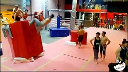 hamid.reza.pezhman(free team)p...