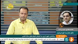 توضیحات مشاور محیط زیست شهرداری تهران در مورد ماجرای کشتار سگ ها توضیحات مشاور محیط زیس...