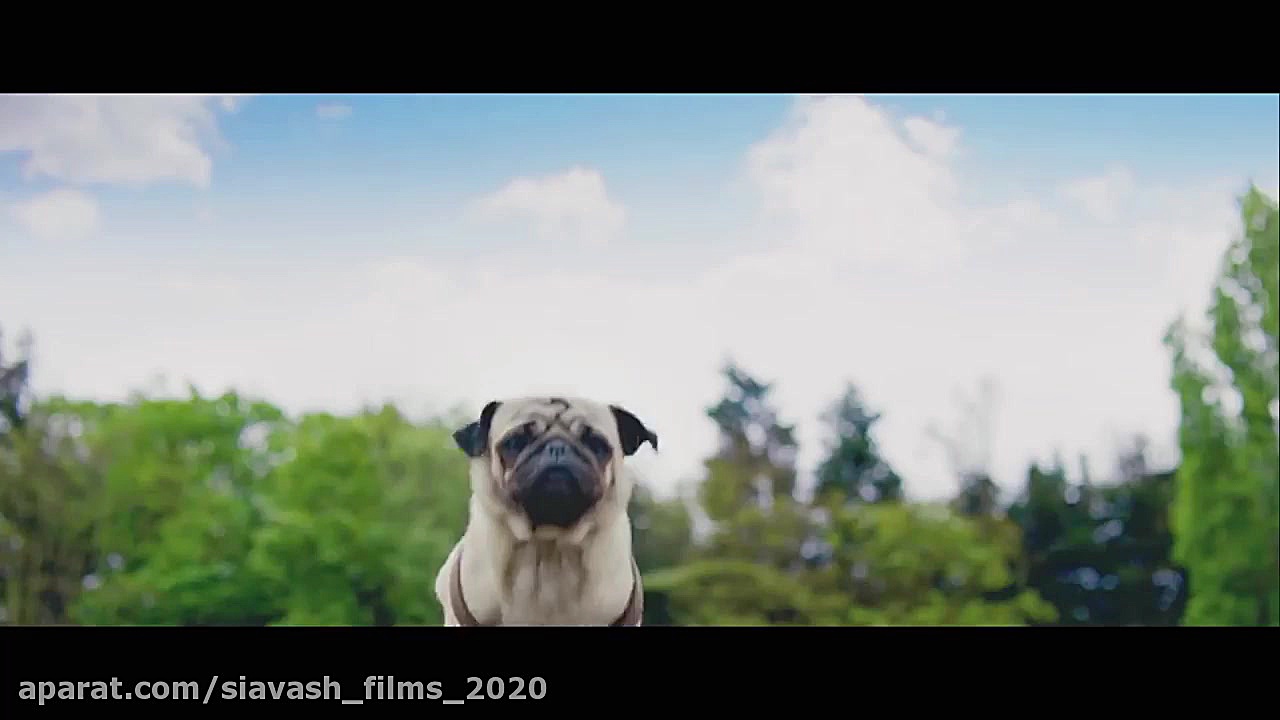 تریلر فیلم کمدی وخانوادگی وماجرایی Patrick.2018 زمان134ثانیه