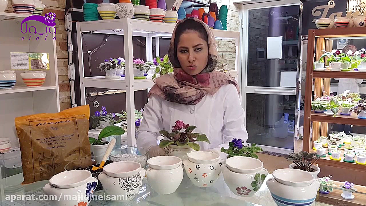 معرفی گلدان خودآبیار بنفشه آفریقایی زمان109ثانیه