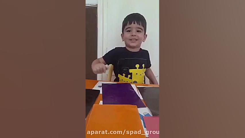 تلمان کافی مولی لیزر فرکشنال