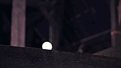 گشتی در دانشگاه پلی تکنیک توری...