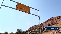 شکار لحظه ها در حیات وحش