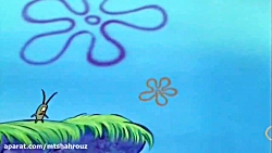 باب اسفنجی: حیات وحش