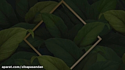 جملات انگیزشی و عبارات تاکیدی...