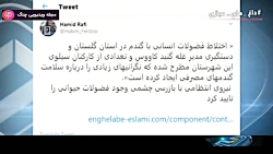 اخبار 20:30 - داغ های مجازی -...