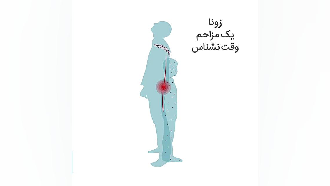 زونا دکتر علیرضا مقتدری | متخصص طب فیزیکی