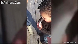 کلیپ خنده دار واکنش کودکان در...