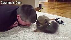 کلیپ جالب و خنده دار از حیوانا...