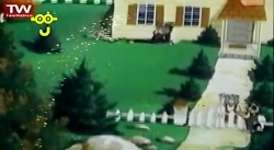 کارتون رویای شیرین قسمت 2