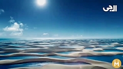 هوش مصنوعی تلویزیون های ال جی...