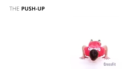 حرکت push-ups در کراس فیت