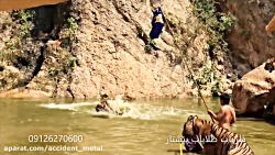 شکار شدن خفاش توسط مار وحشی