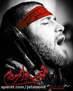 نوحه منم باید برم  سید رضا نری...