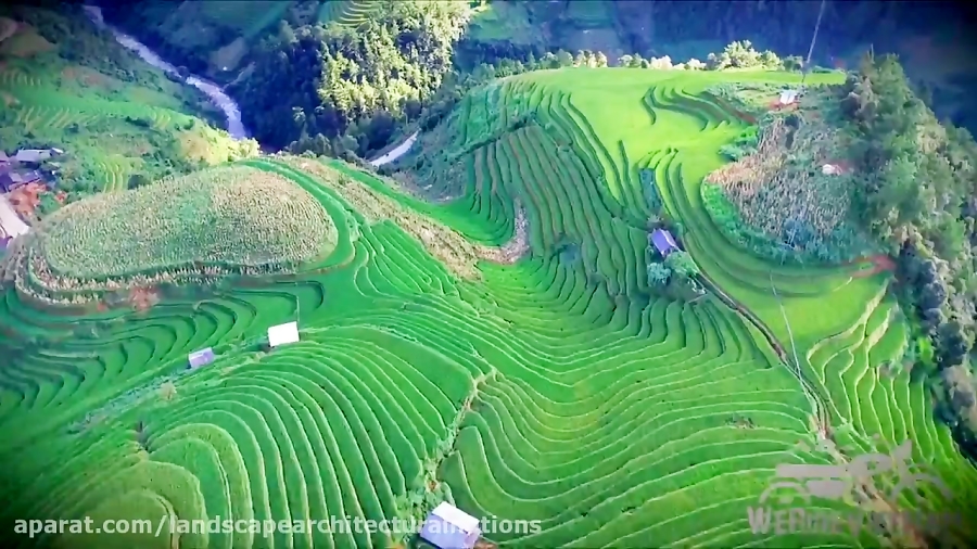 انگاره های معمارانه منظر-دکتر آزاده شاهچراغی-فیلم شماره 1-کشتزارهای برنج ویتنام زمان101ثانیه