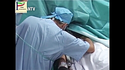 Recientes avances quir&uacute;...