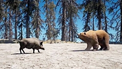 نبرد حیوانات با خرس بزرگ