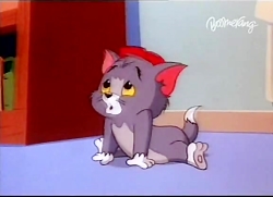 کارتون تام و جری (موش و گربه)...