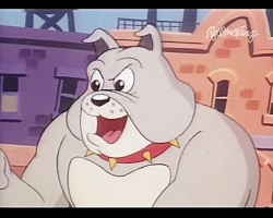 کارتون تام و جری (موش و گربه)...