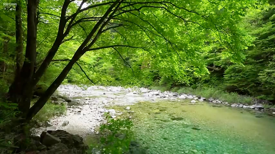 موسیقی سراسر آرامش با نام "خورشید صبحگاهی" با اجرای فوق العاده هِلند