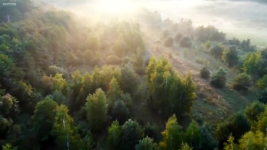 "زمزمه صبحگاهی" با اجرای بی نظیر هِلند
