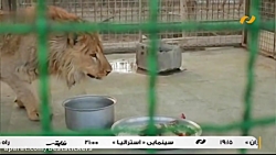 فیلم ایرانی نام و نام خانوادگی