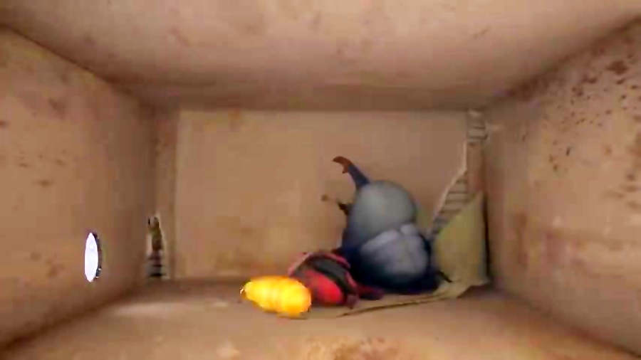 LARVA  SURPRISE BIRTHDAY | Car...