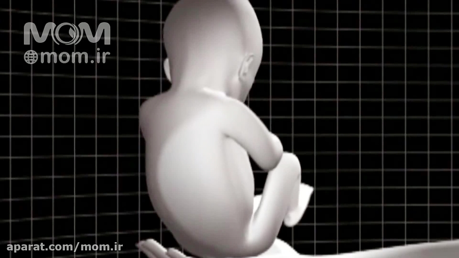 هفته سی و ششم بارداری