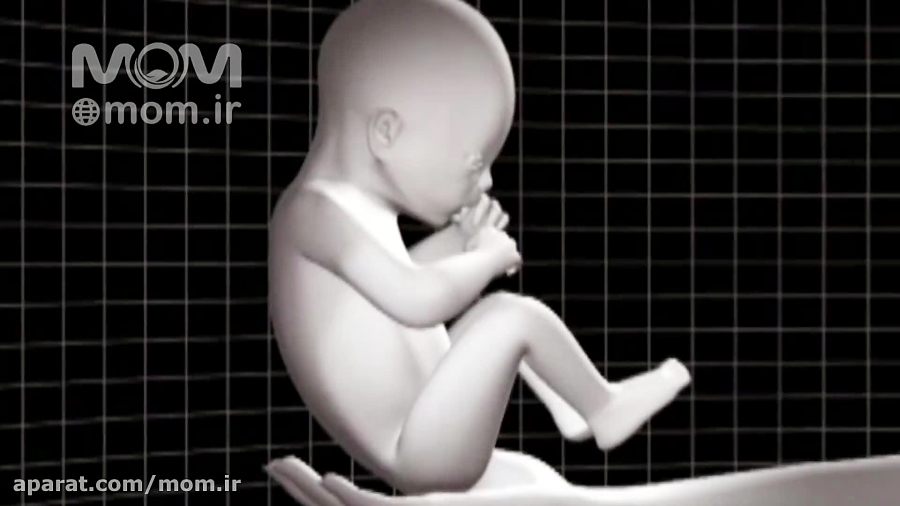 هفته سی و هفتم بارداری