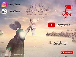 لالایی علی اصغر- باب الحوائج ح...