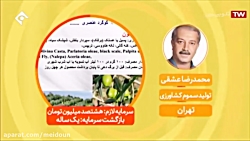 محمدرضا عشقی - تولید سموم کشاورزی - 5 شهریور ماه 98