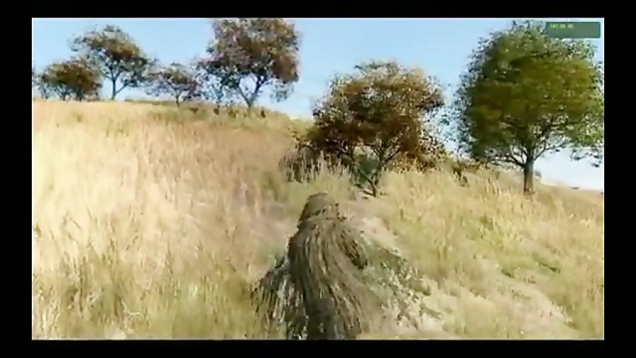 تک تیر انداز