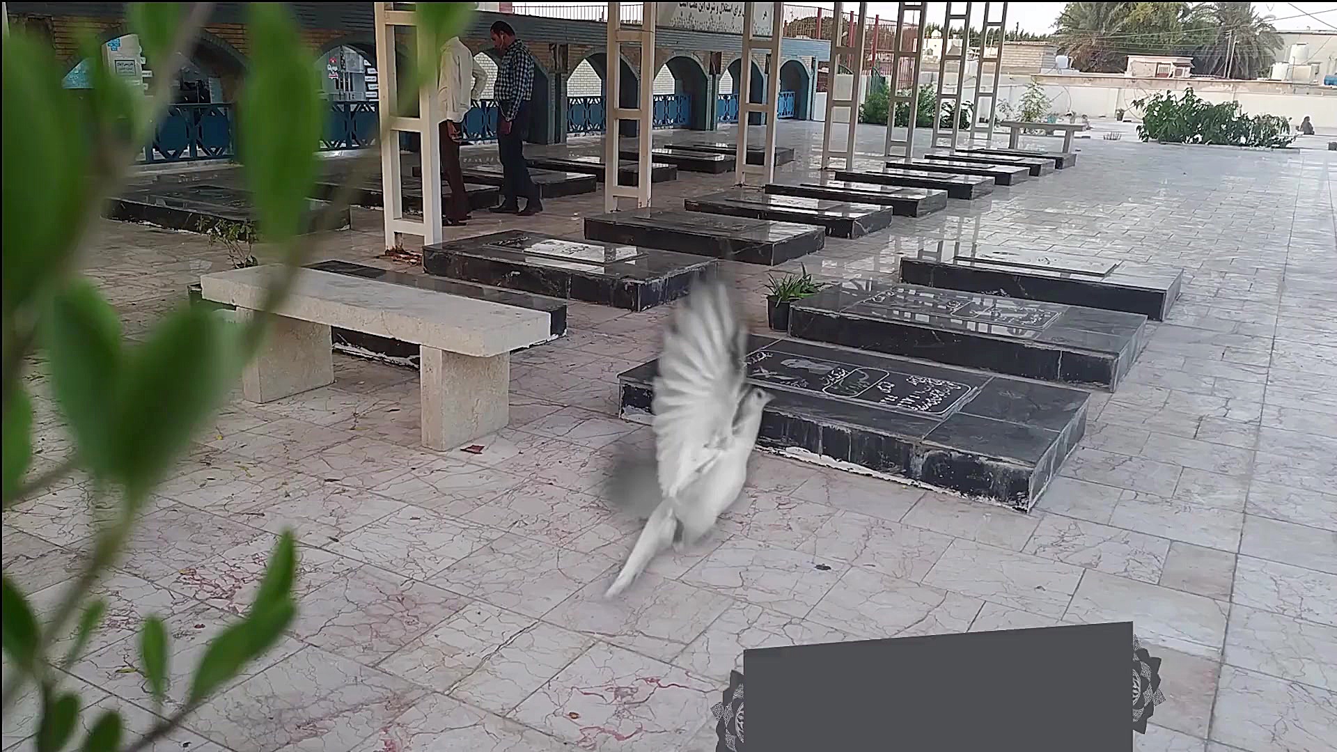 پوستر کوچک