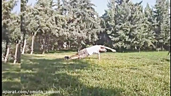 چربی سوزی  شکم و پهلو با ورزش