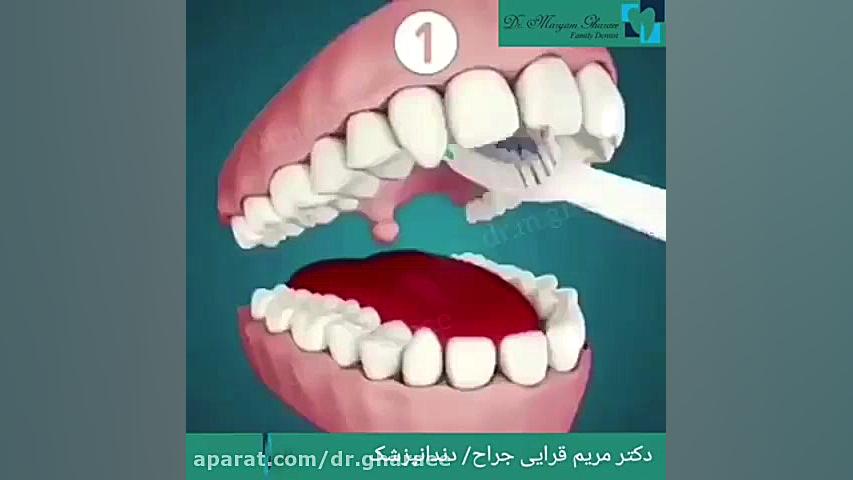 فیلم روش درست مسواک زدن دکتر مریم قرایی