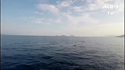 خبري حوادث : غرق شدن قایق پناج...