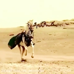 یا قمر بنی هاشم