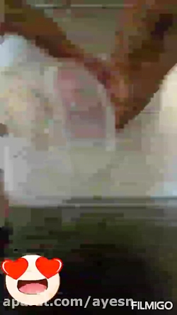 اولین مدیر ریل سریال حریم سلطا...